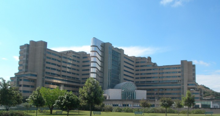 Joint Stars for Charity: Solidarietà e Musica per i Bambini del Brotzu - difesanews.com Joint Stars for Charity: Solidarietà e Musica per i Bambini del Brotzu - difesanews.com